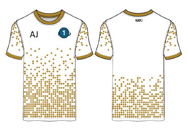 Phoenix Training Top White